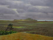 Chatham Is. landscape