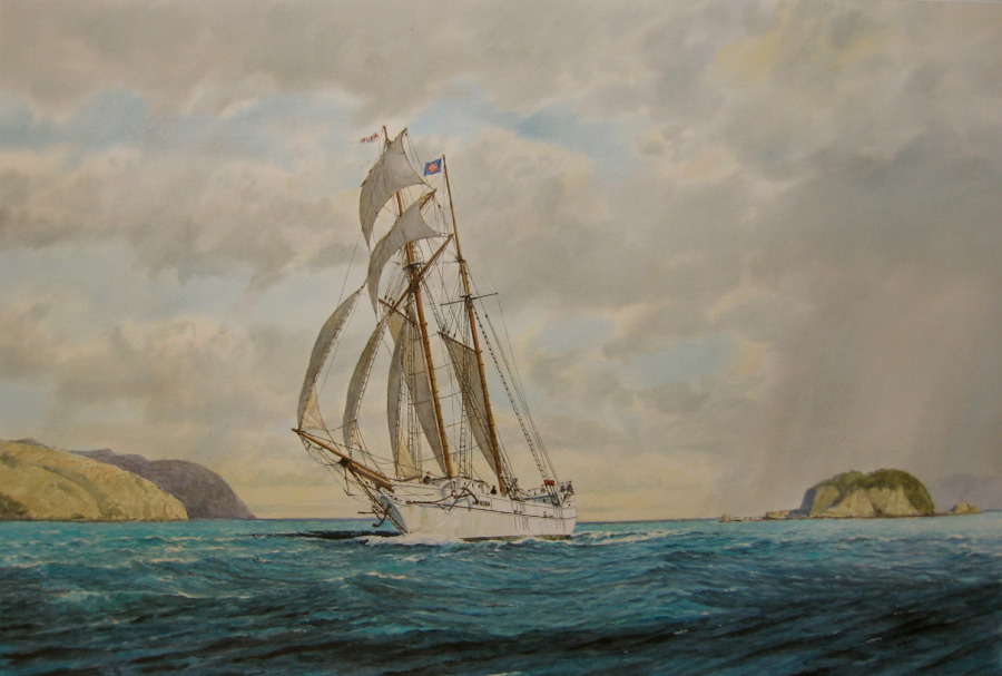 Huia, Port NIcholson