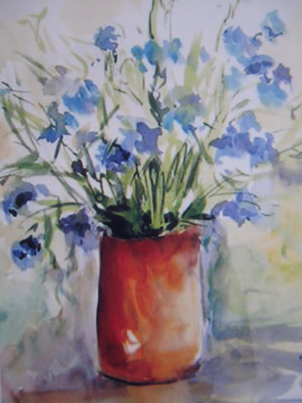 Cornflowers
