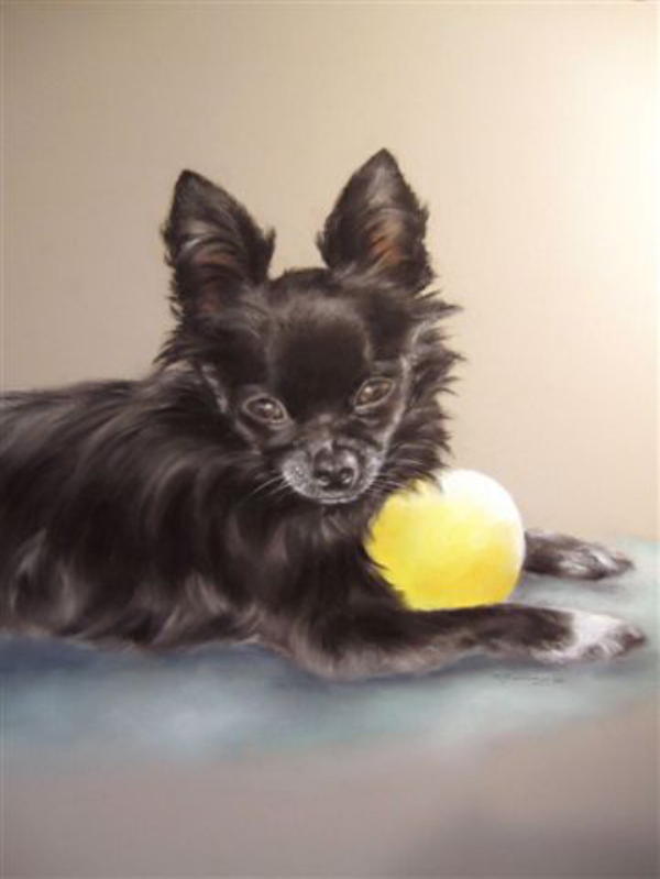 Dog