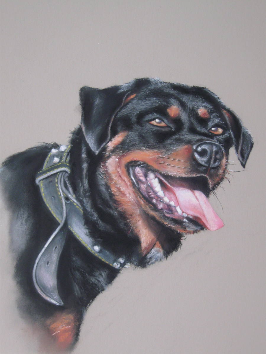 Zena