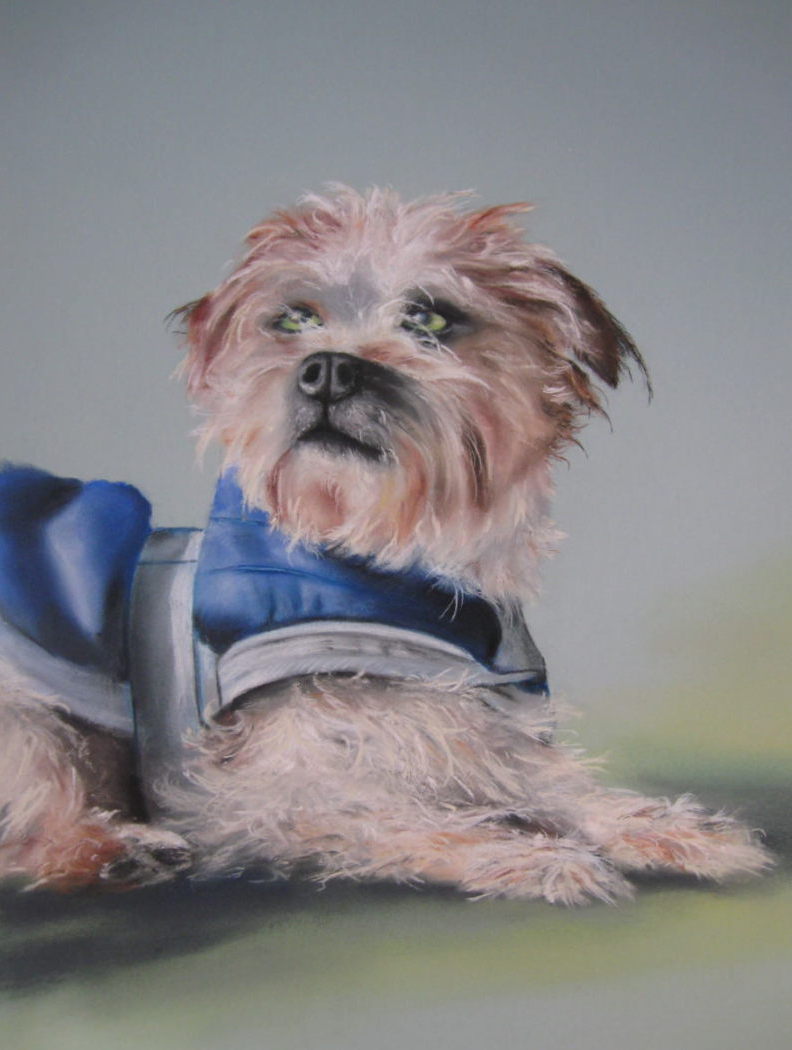 terrier