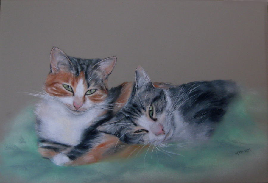 Cats