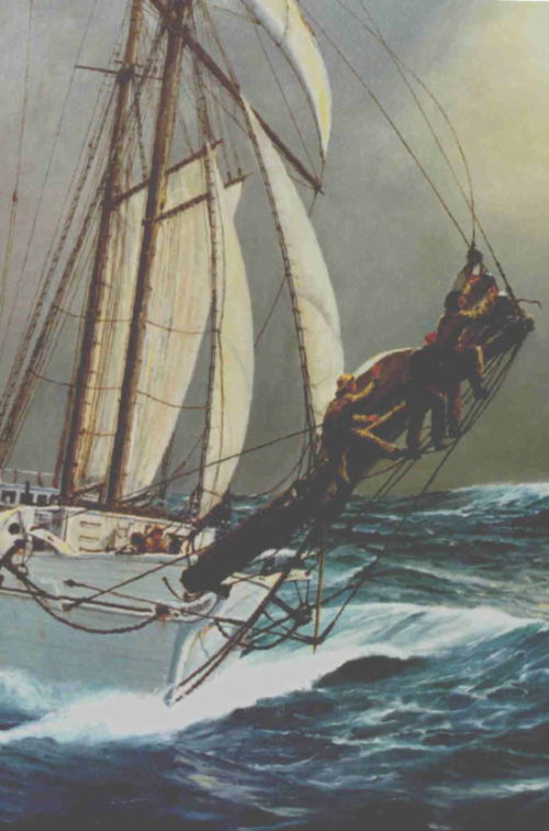 Huia. stowing the jib